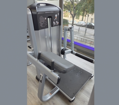 LOTE 6 MÁQUINAS PRECOR DISCOVERY + FUNCTIONAL TRAINER PRECOR FTS GLIDE.